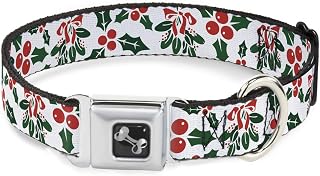 Dog Collar Seatbelt Buckle Holly Mistletoe 16 to 23 Inches 1.5 Inch Wide