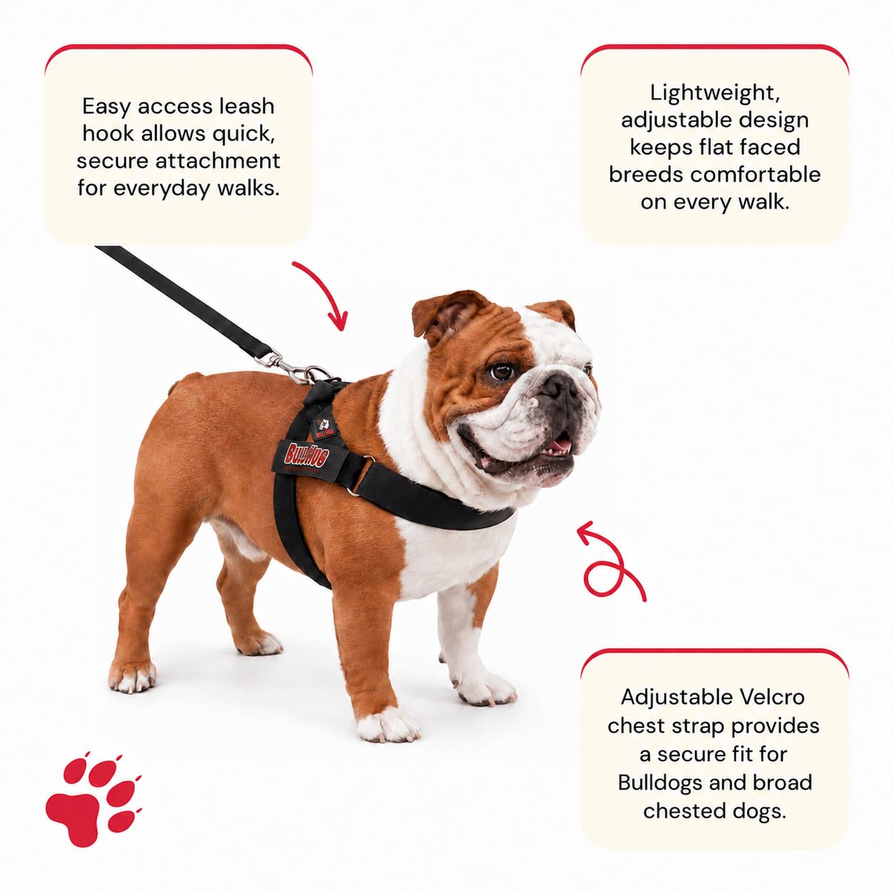 View 2