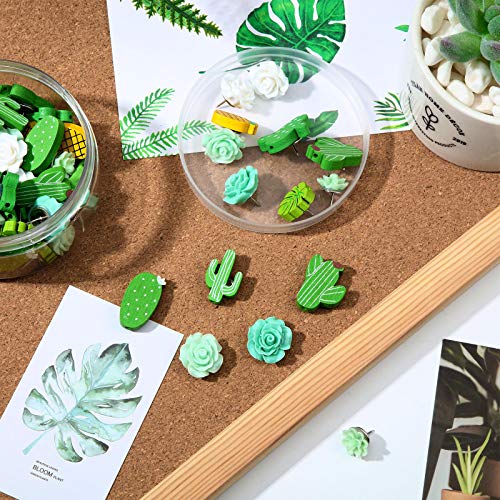 60 Pieces Decorative Push Pins Set, Includes Cute Cactus Green Rose Pineapple Pushpin For Fixing Photos, Pictures, Maps, Assorted Thumbtacks For Bulletin Board, Cork Board And Wall, 10 Styles #TOP2