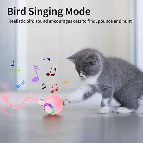 Miniatura 3 de Pelota de perro (B)