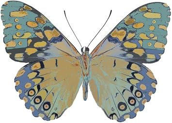 ArtExpert Butterfly In Amethyst Ii by Julia Bosco - 16x12 Art Print Poster