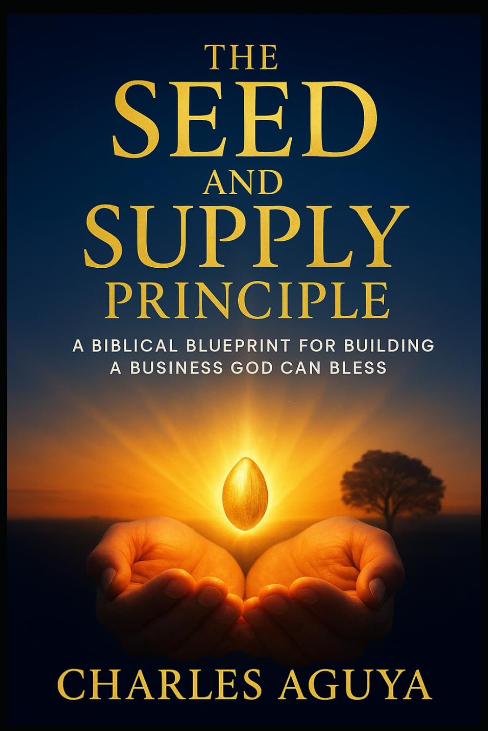 The Seed and Supply Principle: A Biblical Blueprint for Building a Business God Can Bless