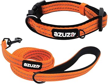 Amazon Azuza 犬 首輪 リード セット 3m反射材料 犬の首輪 犬のリード 小型犬 中型犬 大型犬 ペット用品 ナイロン製 通気性 弾力性 ソフト 調節可能 オレンジ ハロウィン 散歩 お出かけ用 トレーニングに最適 ｍ 首周り 36 50cm オレンジ Azuza リード 通販