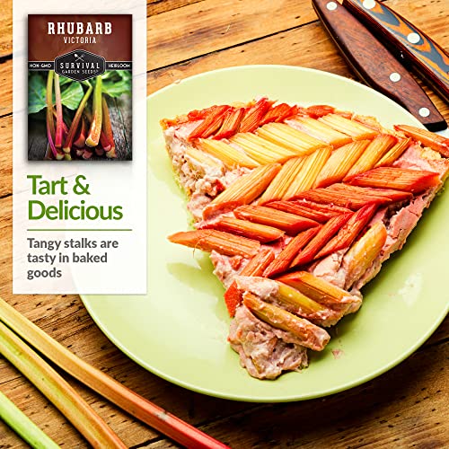 Survival-Garden-Seeds-Victoria-Rhubarb-Seed-for-Planting-Packet-with-Instructions-to-Plant-and-Grow-Delicious-and-Tangy-Red-Stalks-in-Your-Home-Vegetable-Garden-Non-GMO-Heirloom-Variety Survival-Garden-Seeds-Victoria-Rhubarb-Seed-for-Planting-Packet-with-Instructions-to-Plant-and-Grow-Delicious-and-Tangy-Red-Stalks-in-Your-Home-Vegetable-Garden-Non-GMO-Heirloom-Variety