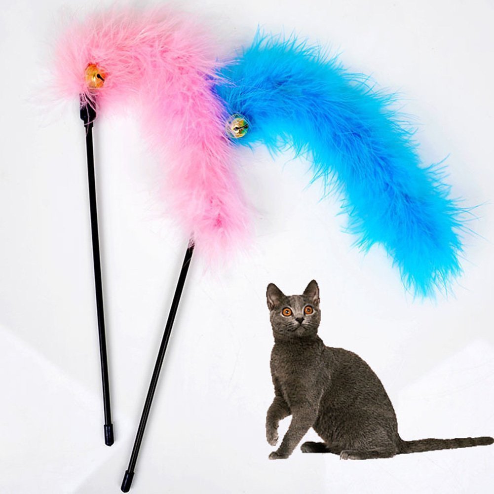 Amazon.com : Hypeety 2 pcs Cat Toys Interactive Feather Wand 
