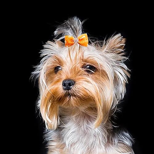 Miniatura 7 de PET SHOW 50 unidades25 pares de lazos para el pelo de perro pequeño con bandas de goma con diamantes de imitación para cachorros, moño para el