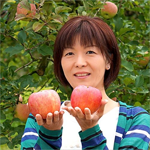 山形県産 準秀品 りんご サンふじ 約10kg 【紅秀峰】