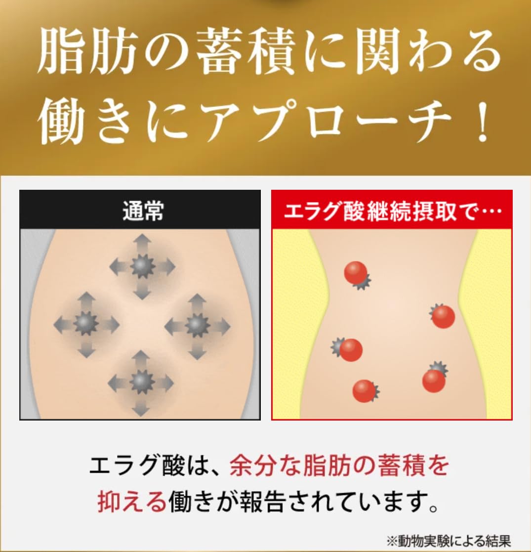 キラーバーナー2 ダイエットサプリ 45粒で体脂肪サポート