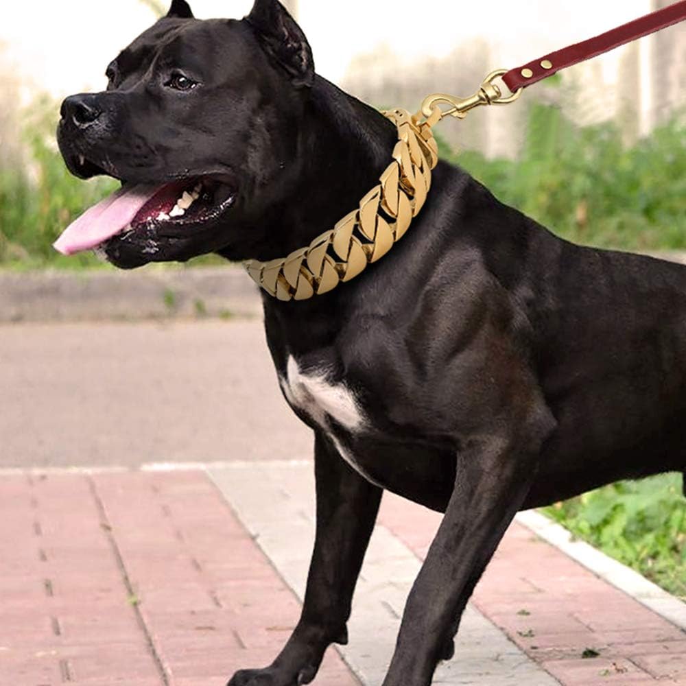 Chain Training Collar for Large Dogs 