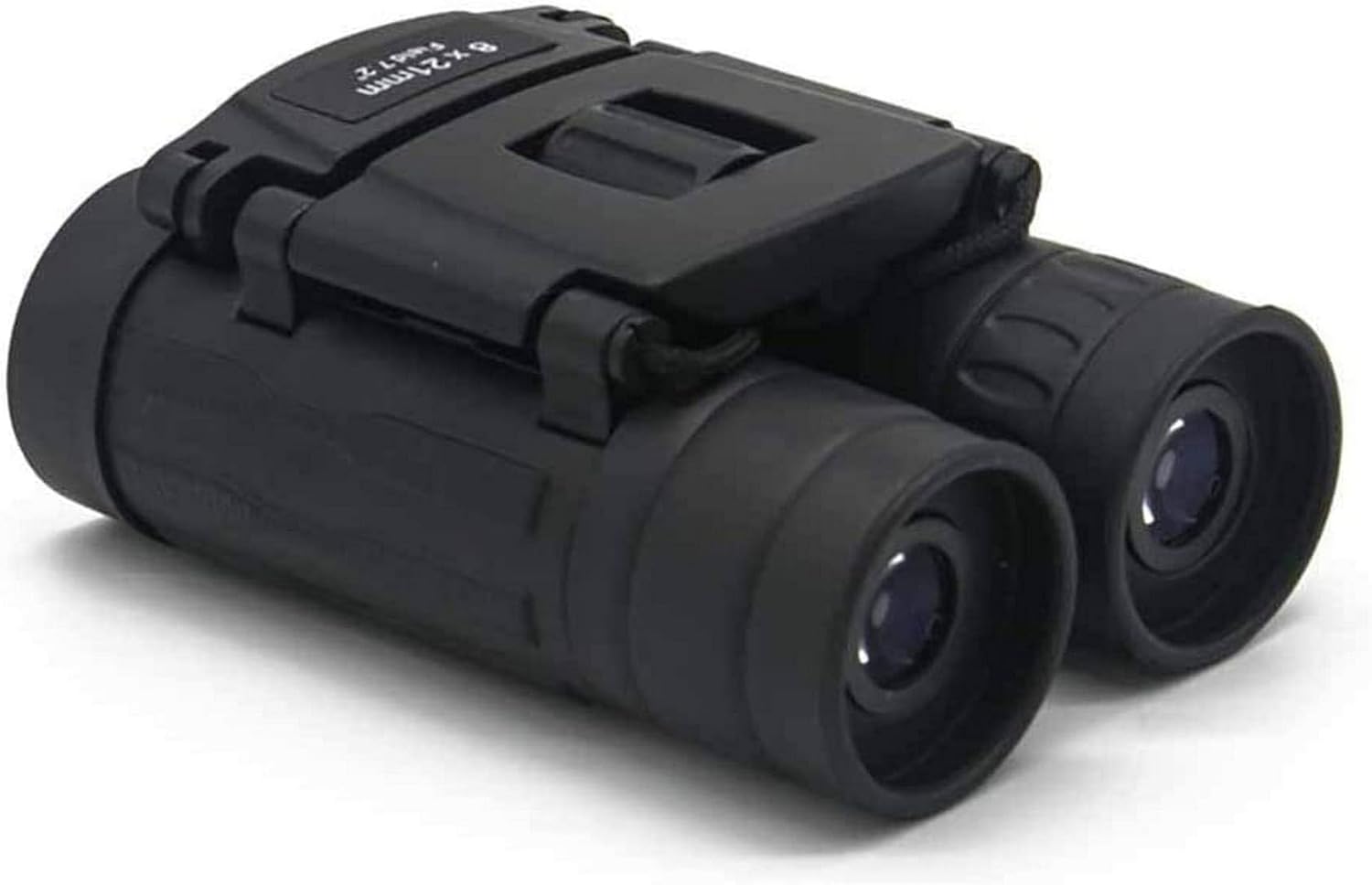 アラゲナツハゼ希少品種/236 アラゲナツハゼ 希少品種 /236