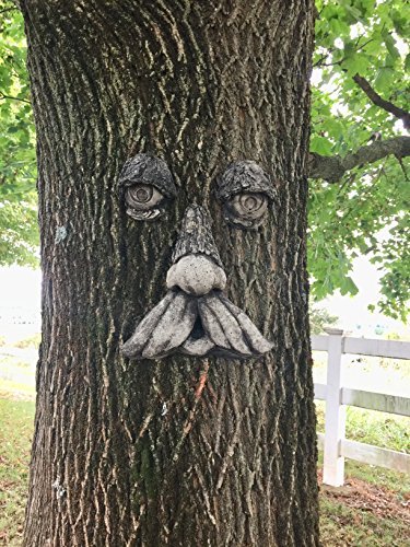 Mountain Man Tree Face (Weathered) #TOP1