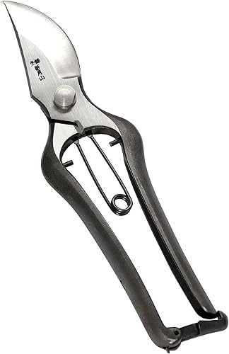 RANSHOU Tijeras de podar japonesas para jardinería de 8.8 pulgadas, fabricadas en Japón, herramienta profesional resistente para podar ramas de