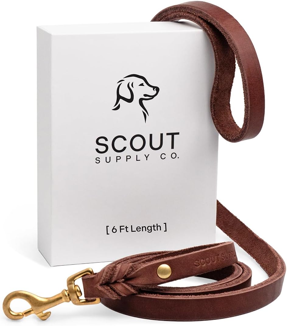 Scout Supply Classic Leather Dog Leash 6 FT - Full Grain Leather, Heavy Duty, Waterproof, Solid Brass Hardware, Durable Training & Walking Leash for Medium & Large Dogs, Dark Brown (6 ft x 2/3 in)