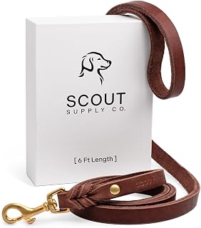 Scout Supply Classic Leather Dog Leash 6 FT - Full Grain Leather, Heavy Duty, Waterproof, Solid Brass Hardware, Durable Training & Walking Leash for Medium & Large Dogs, Dark Brown (6 ft x 3/4 in)
