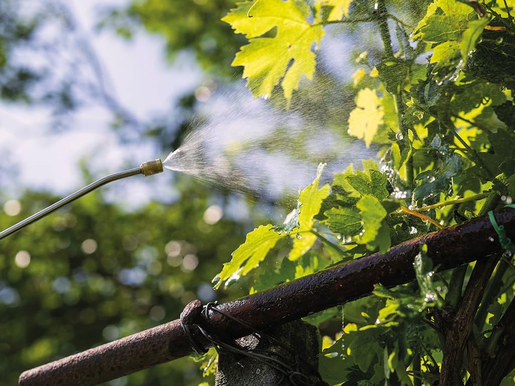 Close-up of the adjustable brass nozzle on the Stanley electric sprayer, showing a fine mist spray pattern on plant leaves.