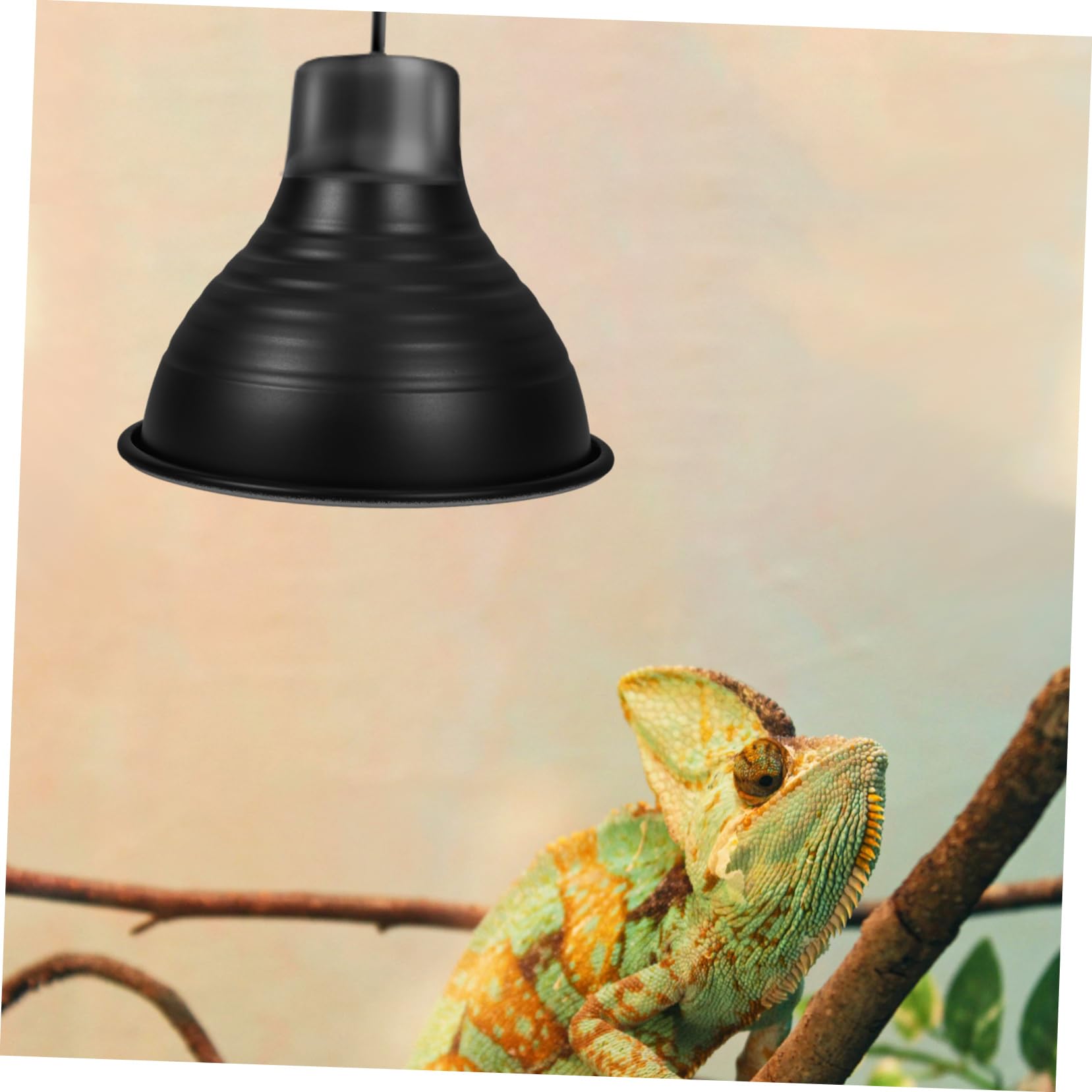 Cabilock 5 Piezas luminarias para reptiles accesorio de tanque de reptil cúpula de lámpara de reptil calentador reptiles Accesorios de iluminación para reptiles pantalla de reptil planchar