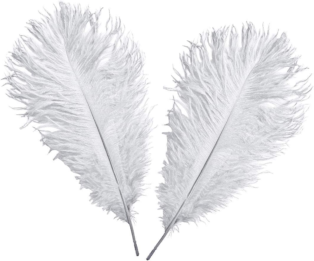 WedDecor Silver Natural Ostrich Feathers 14-16" (35-40cm) Long for Wedding Centerpieces Home, Decorating Costumes - Image 3