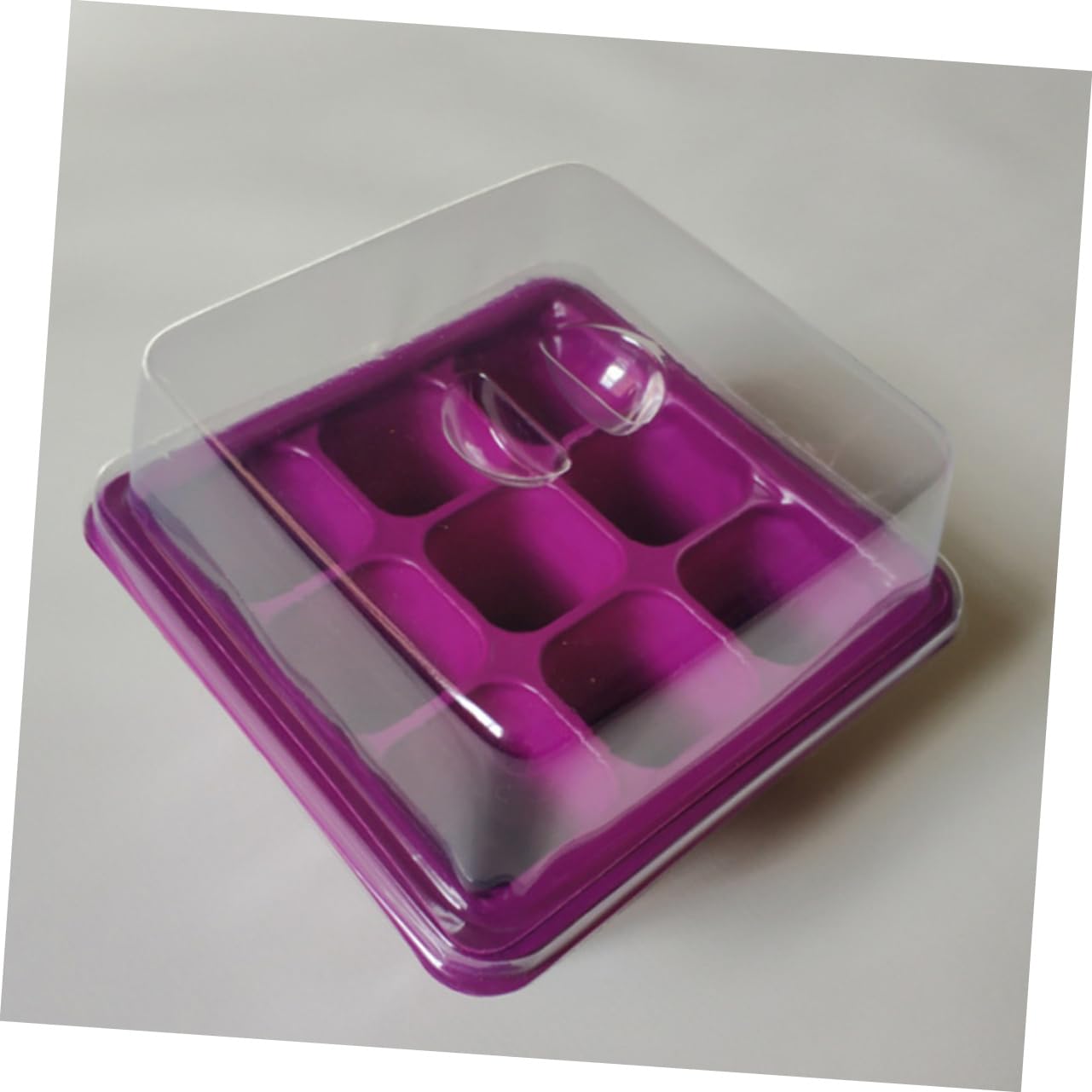SUPVOX 2 Juegos Vivero De 9 Hoyos Equipo Fabricante De Brotes Plantas Falsas Luces De Cultivo para Plantas De Interior Estera Propagación El Plastico Púrpura 2 Piezas * 2