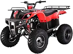 Quadriciclo À Gasolina 150cc Atv Original DSR (Vermelho)