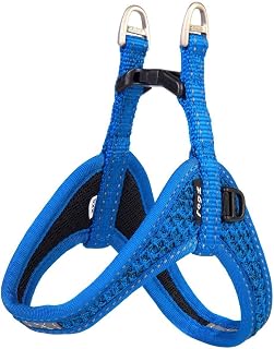 Rogz SJQ47.B Fast-Fit - Vajilla, M, Color Azul
