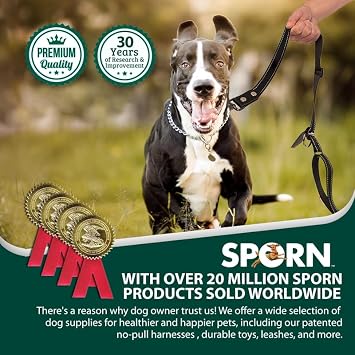 Sporn Ultimate Dog Leash All-in-One Standard Hands Free Leash for Medium Dogs, Strong Nylon Running Leash for Dogs with Reflective Stitching to Ensure Maximum Visibility at Night, Black