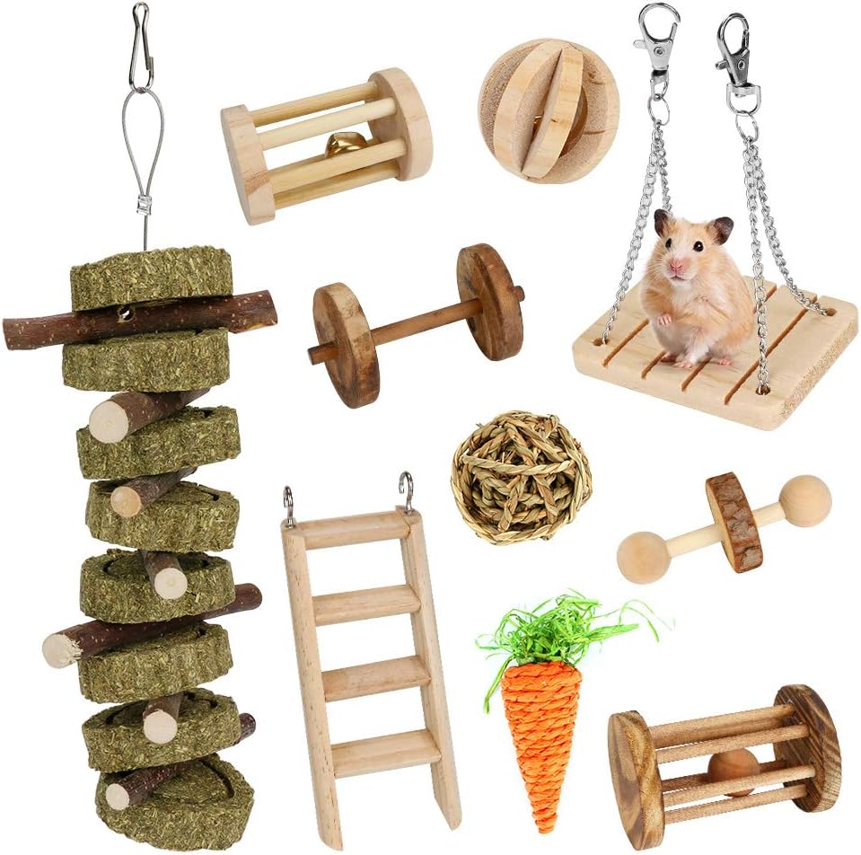 BicycleStore Hamster Chew Toys, 10 Pcs Guinea Pig Toys Natural Wooden Rat Bunny Rabbit Chew Toys Accessories Dumbbells Exercise Bell…