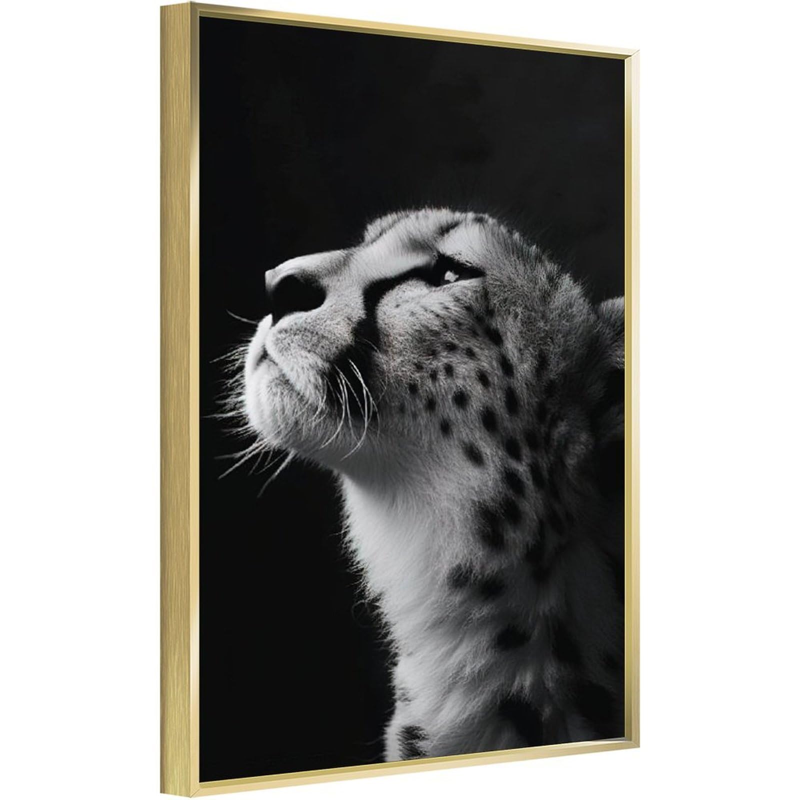 Amazon.com: Leopard Canvas Prints Black Background Black And White