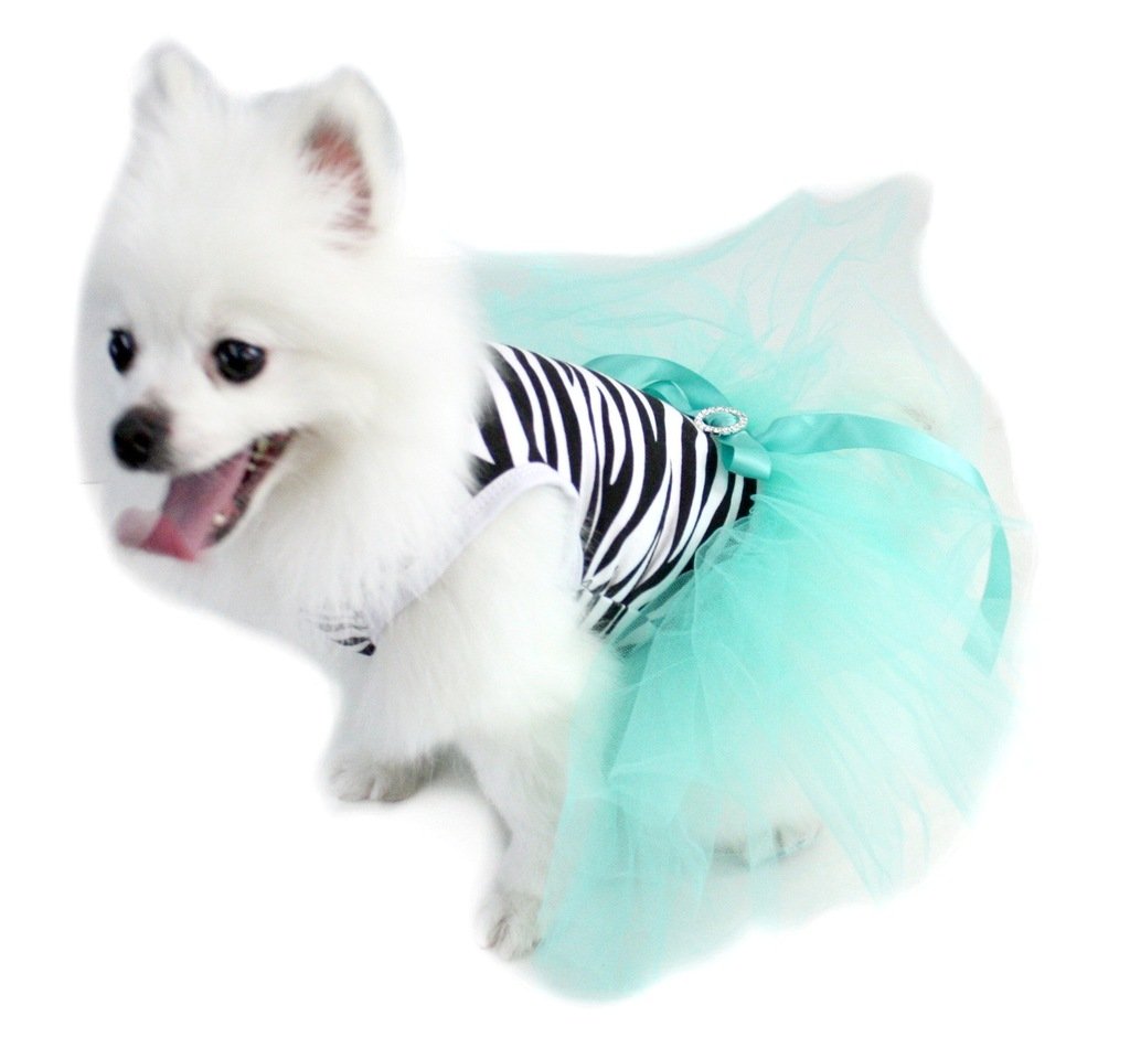 Robe tutu en coton pour chien parfaite pour les fêtes et les sorties