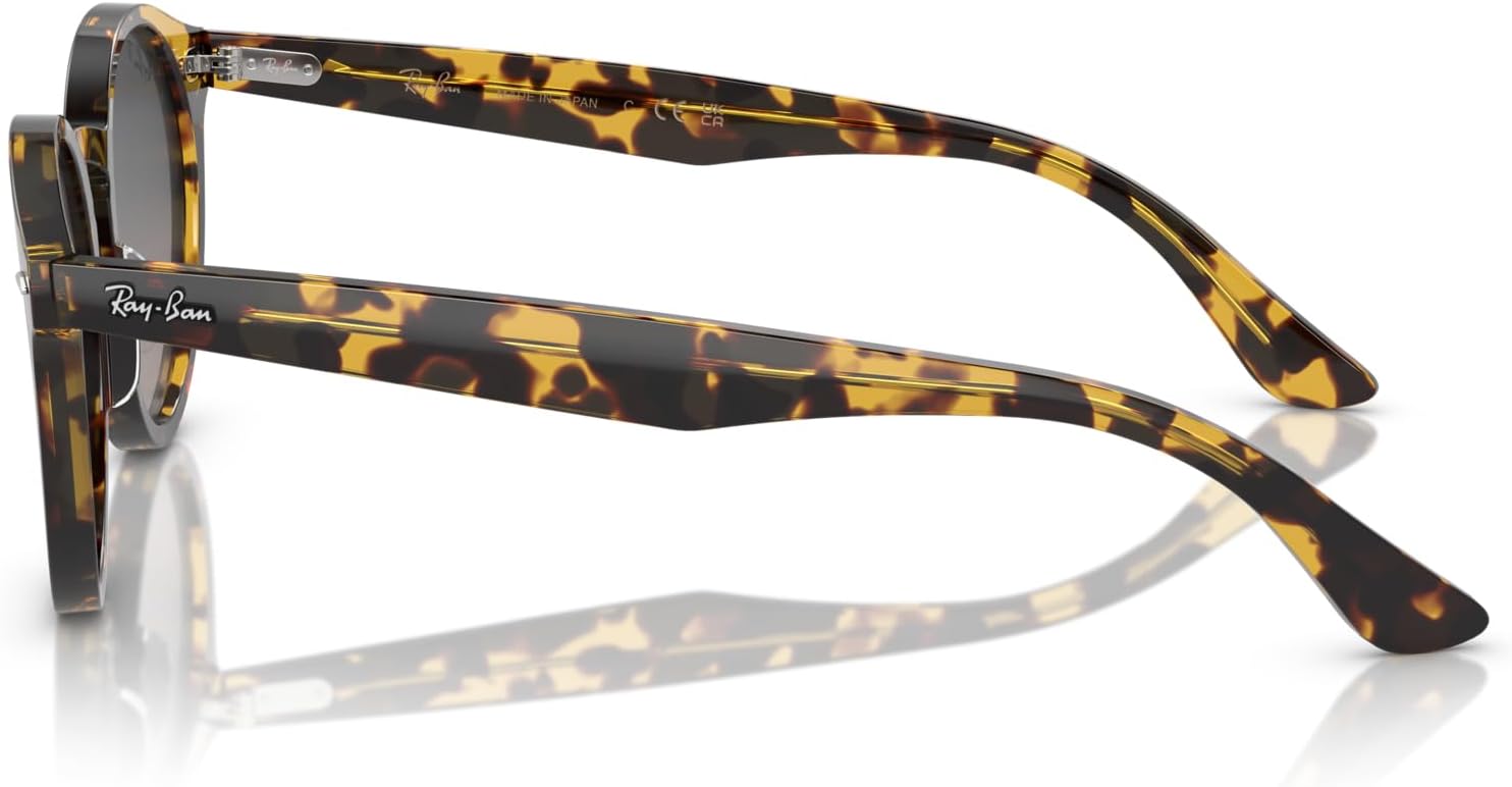 Ray-Ban RB7680S Larry Round Sunglasses