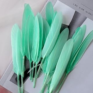 300 piezas de pintura decorativa pluma colorida pequeña cuchillo recto materiales de arte creativo decoración manualidades plumas manualidades suministros de arte plumas para manualidades