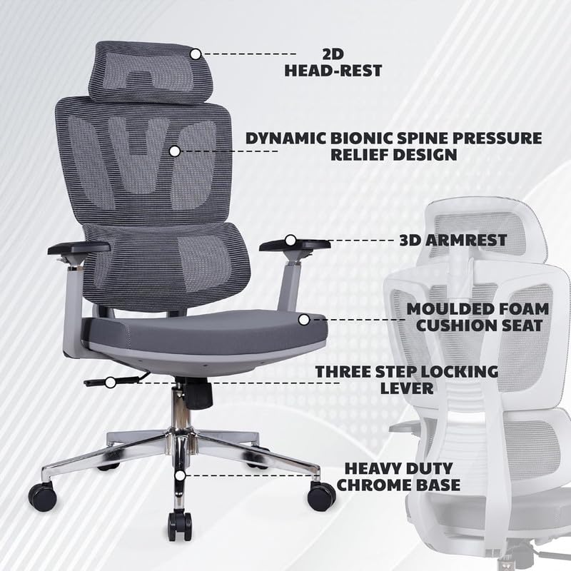 Image of Mesh High Back Ergonomic Chair | Executive Office Chair for Work from Home and for Study | Multi Lock System, Design for Long-Hour Tasks