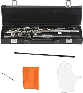 16 Hole Closed Hole Flute C Key Professional Fife With Box Gloves flute instrument (Color : Silver)