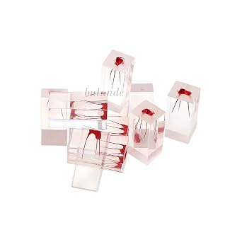 10Pcs Dental Endo Root Canal Teeth Model Practice Block RCT Pulp Cavity Study Endodontic Root Canal Block Practice Student Study Practice Operation Model M8003-33 Root Cancal