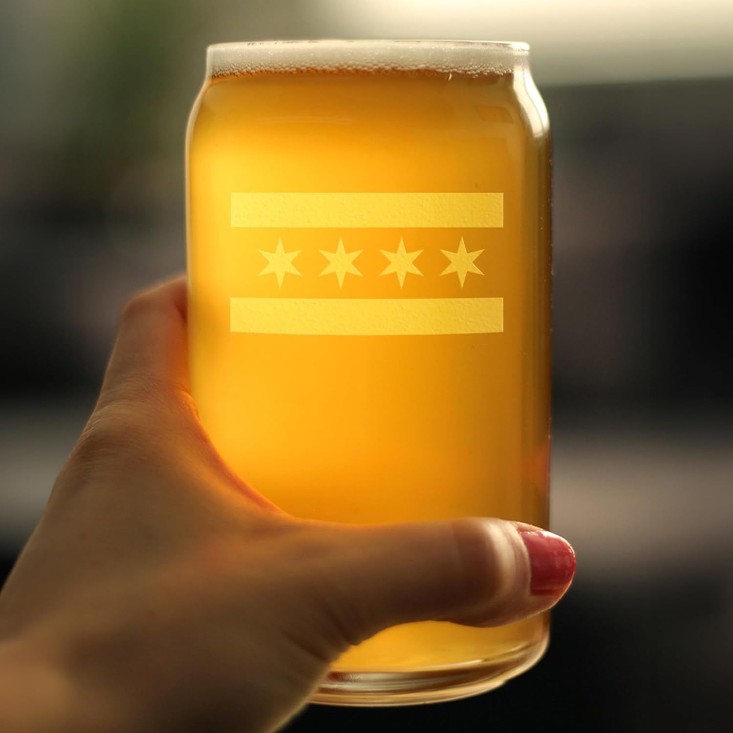 Bevvee Chicago Flag - Fun Beer Can Pint Glass Gift for Chitown Lovers - Cute Chicago Themed Decor - Set of 2-16 oz Drinking Glasses