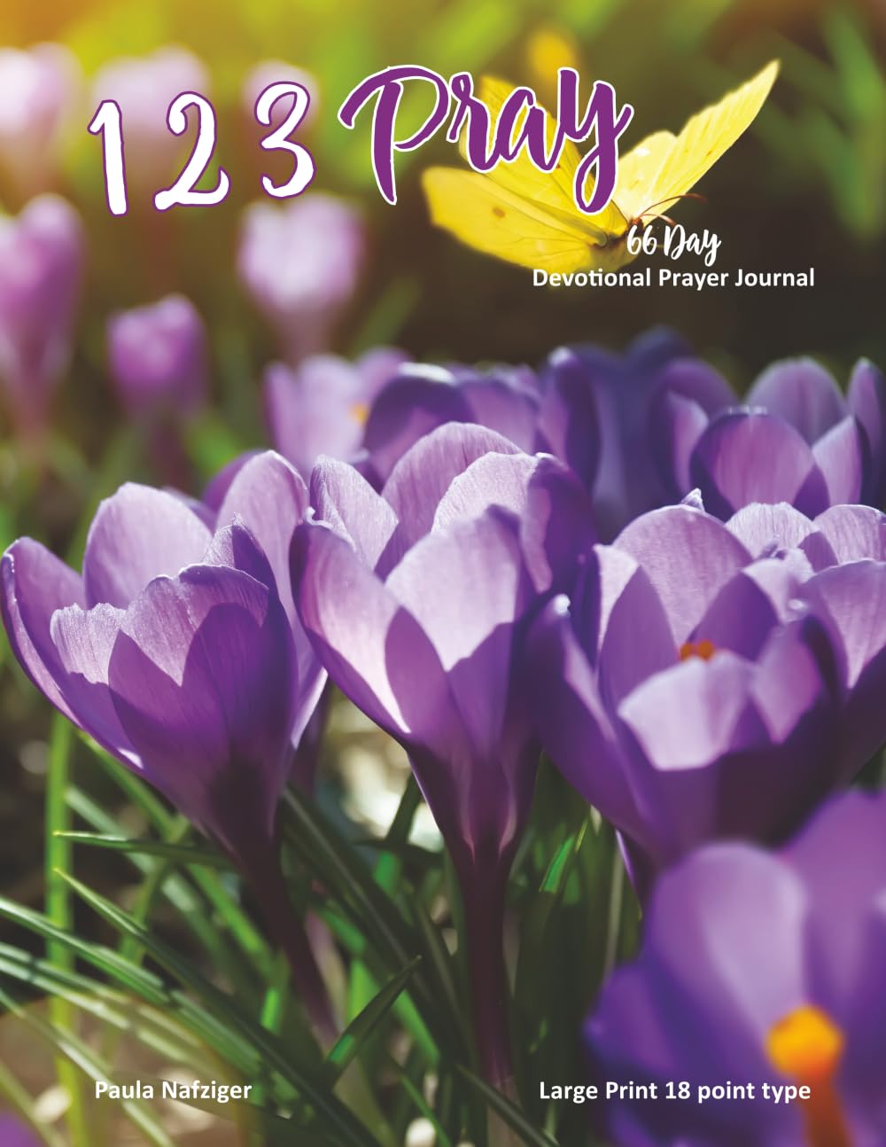 123 Pray 66 Day: Devotional Prayer Journal