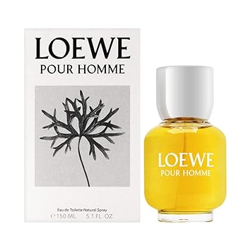 loewe amazon