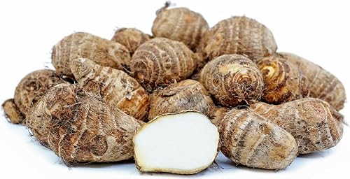 Fresh Taro Root, Small Size, 3 Pound Box