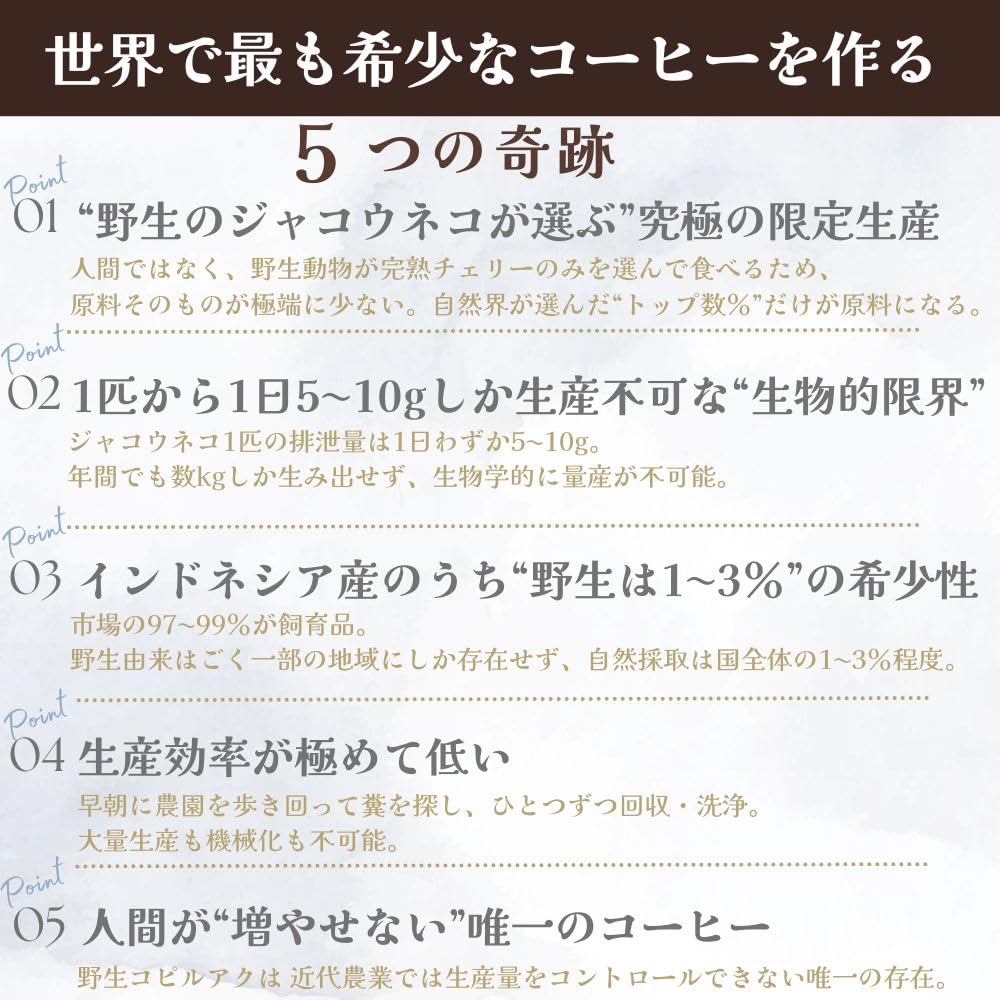 Amazon | ジャコウネココーヒー コピルアク コピルアック 自家焙煎