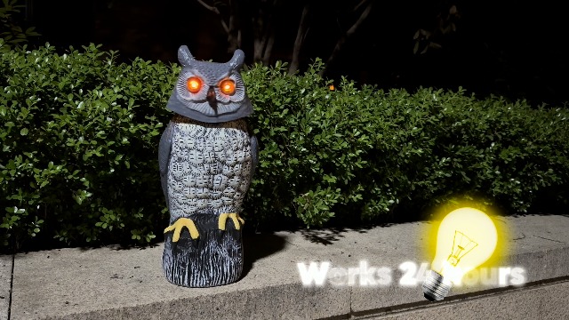 Amazon.com: Owlsome Solar Owl with Colored Flashing Eyes, Rotating