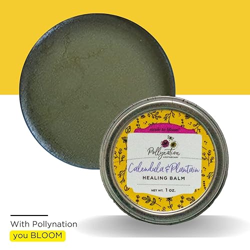 Miniatura 3 de Pollynation Calendula & Plaintain Body Healing Balm 1 oz  Nourishing & Rejuvenating  Restores Skin, Supports Healthy Skin Cells  Great for Itches,