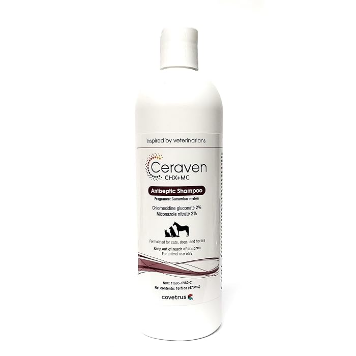 Buy Covetrus Ceraven CHX+MC (Formerly PhytoVet MC) Antiseptic Shampoo ...