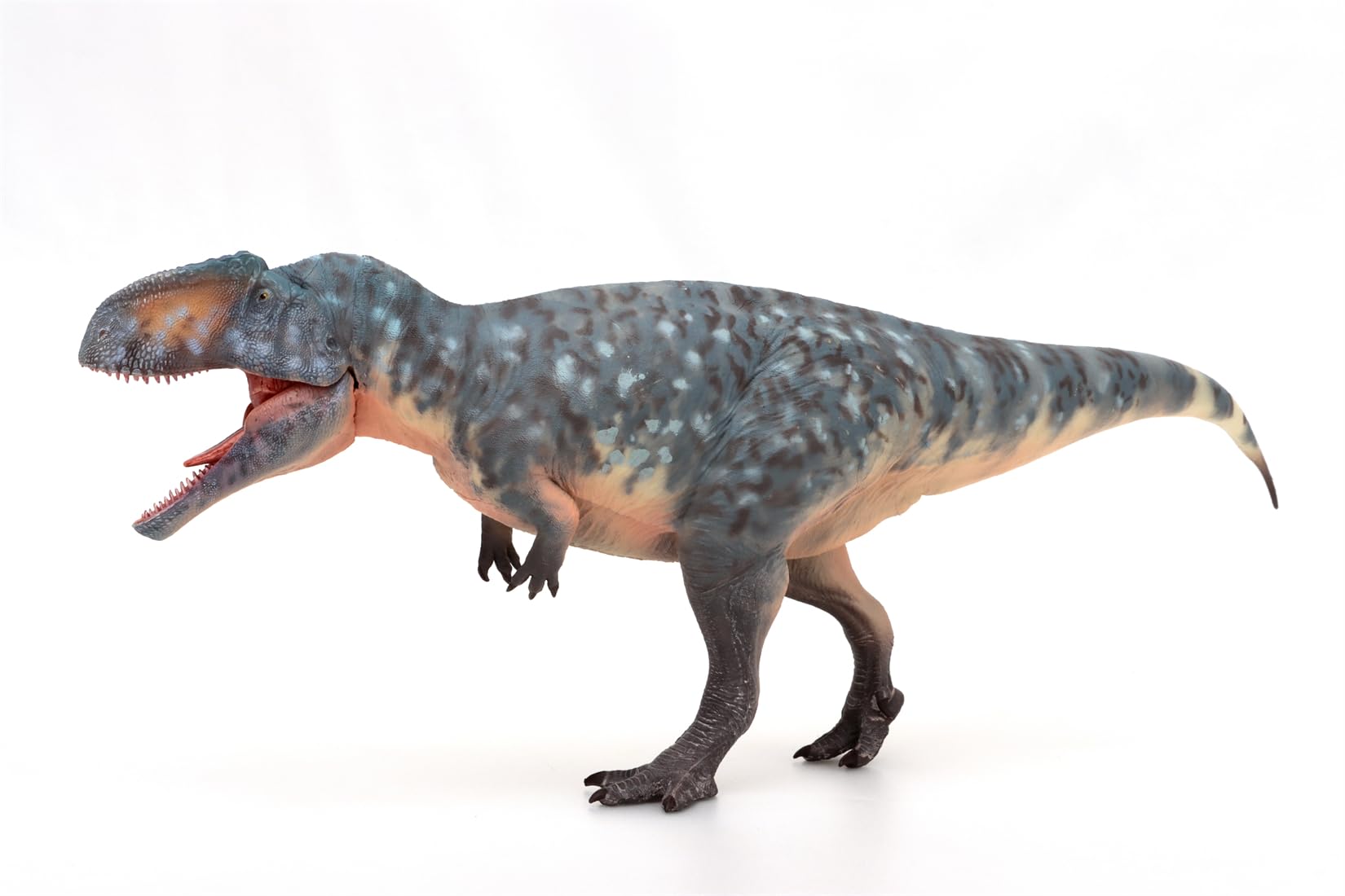 Statuette Giganotosaurus AMITD 1:35 HLG163 Blue de collectionneur