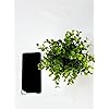 Product Photo 9