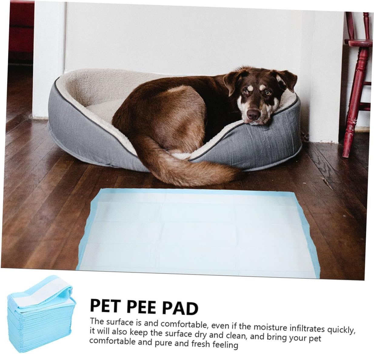 DOITOOL 40pcs Disposable Pet Training Pee Pads for Dogs and Cats Easy to Use Quick-Dry Leak Home and Outdoor Potty Training