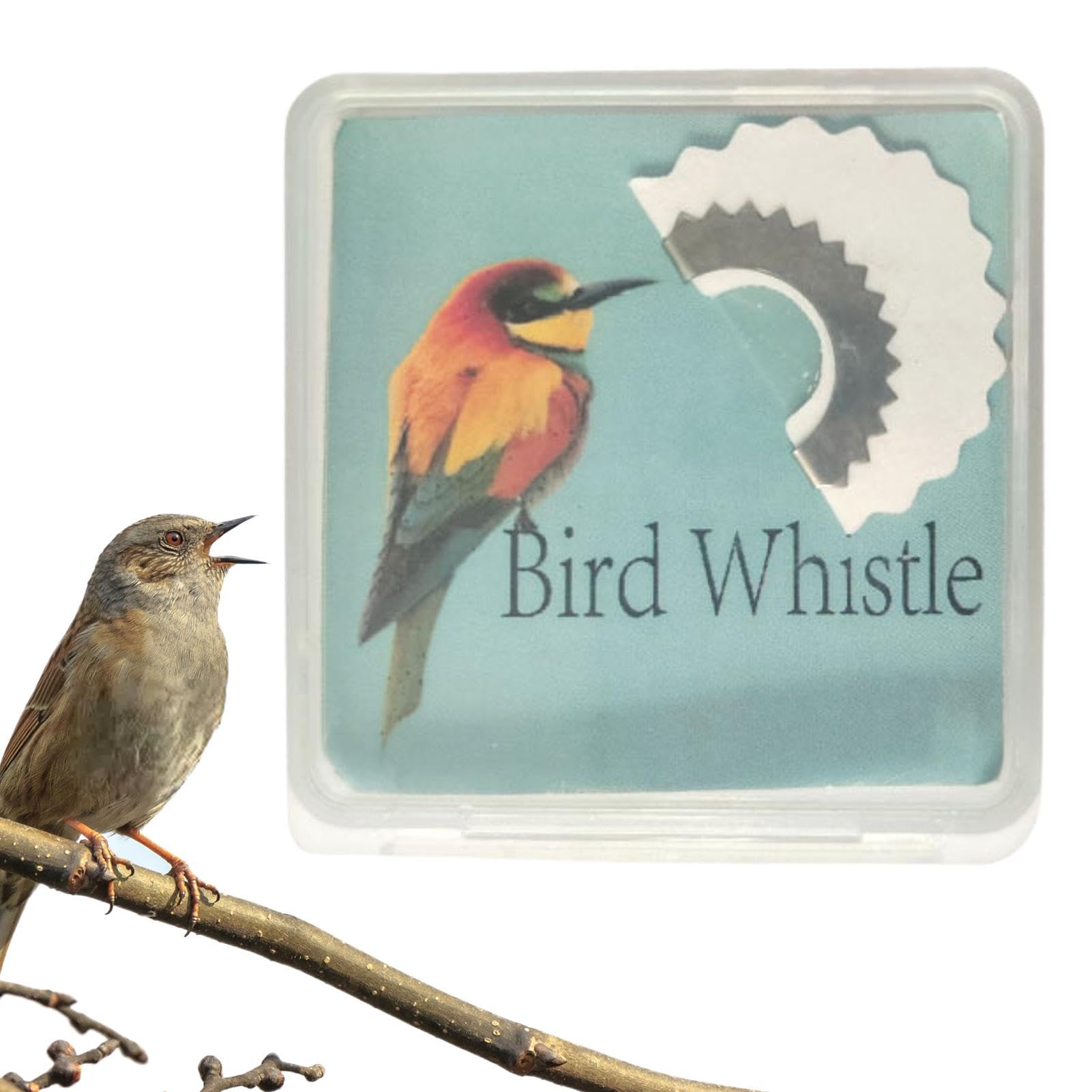 Sifflet D'oiseau | Jouets Tweeting Bruiteur | Oiseau Sifflet Bouche | Sifflet Langue D'appel D'oiseau | Sifflet D'imitation D'oiseaux | Tweeter Noisemaker Pour Attirer Les Oiseaux