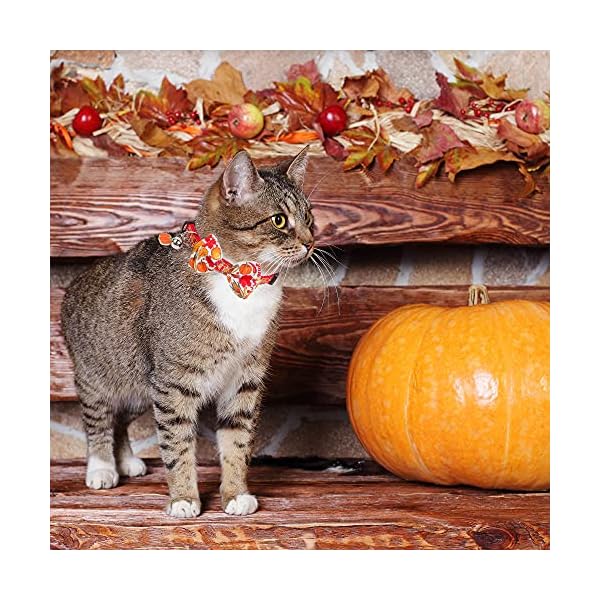 Adoggygo thanksgiving cat collars with bow bell, breakaway cat collar with bowtie pumpkin cat kitten collar for girl boy cats kittens (thanksgiving) - image 4