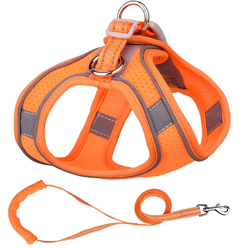 Arnés para Perros, Conjunto de Correa Arnés Malla for Cachorros Correa Acolchada Suave for Perros pequeños for Gatos Chaleco(D,S)