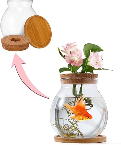 balacoo Pecera de escritorio kit de tanque de acuario de peces de vidrio transparente con tapa de madera y cojín Estaciones de propagación de