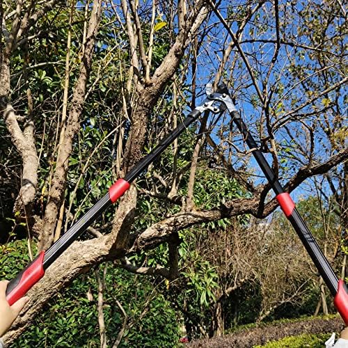 Best Loppers For Large Branches Under 100 For Every Need Honest Reviews (Upd. 03162023) Www