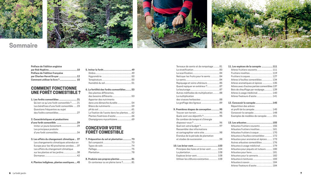 La forêt-jardin: Créer une forêt comestible en permaculture pour retrouver autonomie et abondance